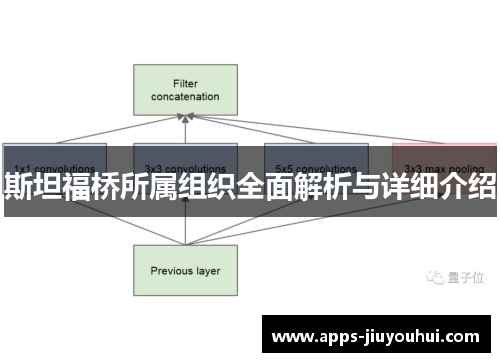 斯坦福桥所属组织全面解析与详细介绍