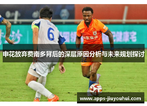 申花放弃费南多背后的深层原因分析与未来规划探讨