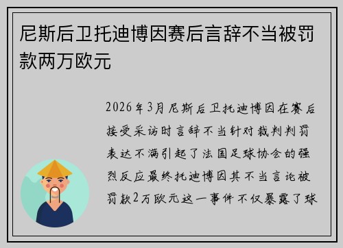 尼斯后卫托迪博因赛后言辞不当被罚款两万欧元